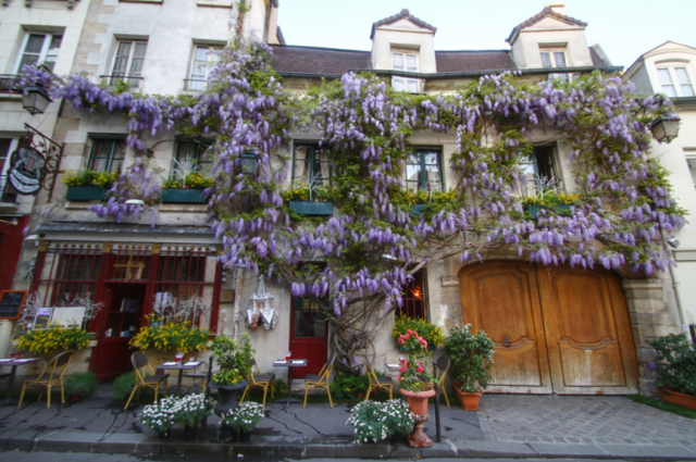 Au Vieux Paris d'Arcole Au Vieux Paris d'Arcole